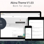 Akina——由国人Fuzzz设计的极简博客WordPress主题