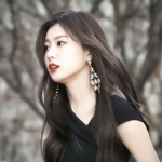 修复RiPro主题 后台用户下载记录查询无法显示BUG