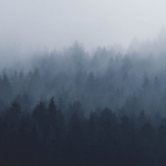 这是一个nb的支付测试，特别nb