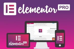 WordPress可视化编辑插件 Elementor Pro v3.7.0 + Elementor v3.6.5   [已激活汉化版]