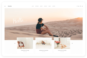 WordPress主题 Malina v已激活最新版2.3.3 响应式经典个人博客杂志作品主题