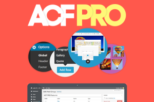 WordPress插件Advanced Custom Fields Pro v5.12.1 已激活汉化最新版