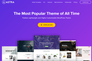 WP Astra主题高级插件Astra Pro Addon 已激活中文汉化最新版