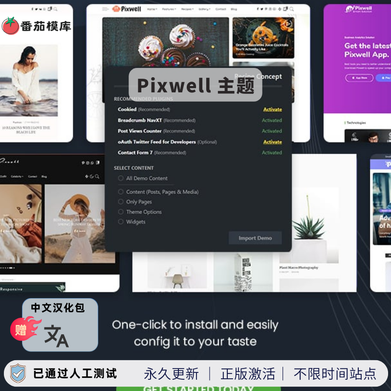 Pixwell WordPress杂志主题汉化版 一键导入演示 支持食谱电商Elementor Core Web Vitals优化